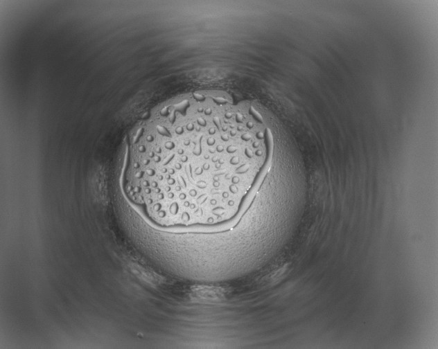 X0000072510234200607290140