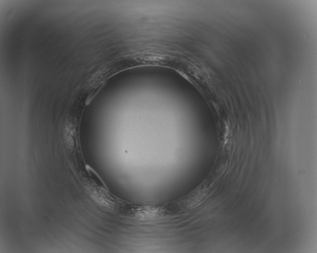 X0000072510235200607290140