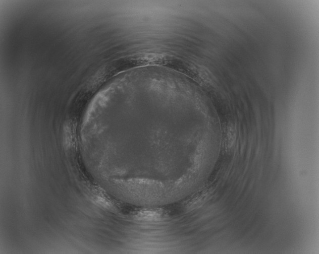 X0000072510236200607290140