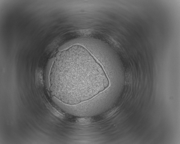 X0000072510238200607290140