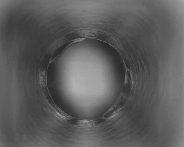 X0000072510239200607290140