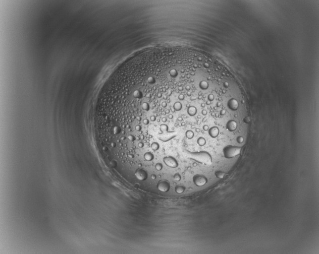 X0000072510241200607290139