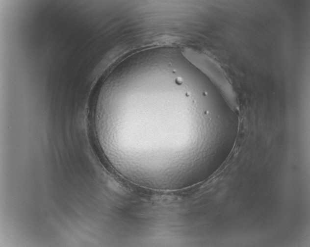 X0000072510242200607290139