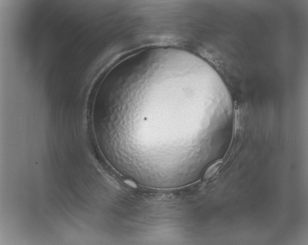 X0000072510243200607290139