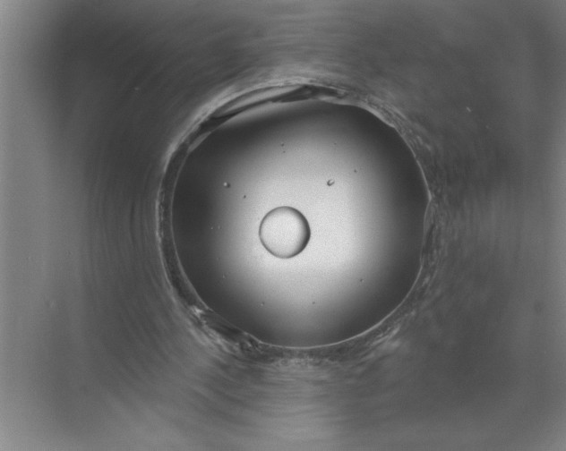 X0000072510244200607290140