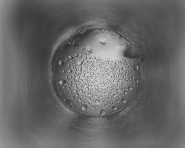 X0000072510245200607290140