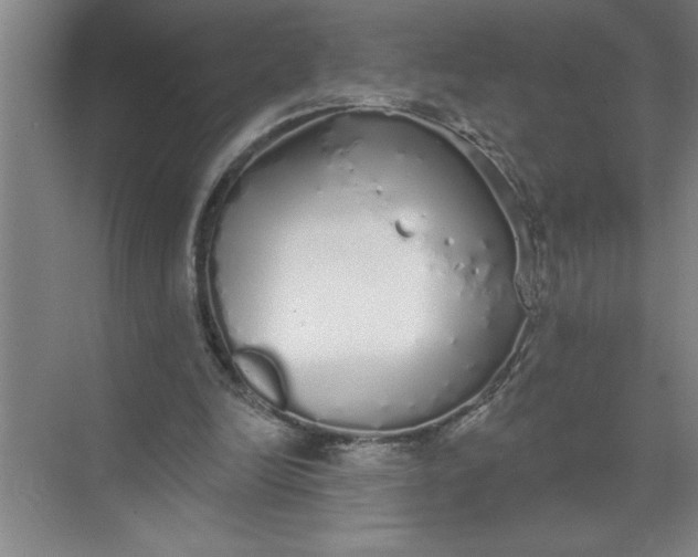 X0000072510246200607290140