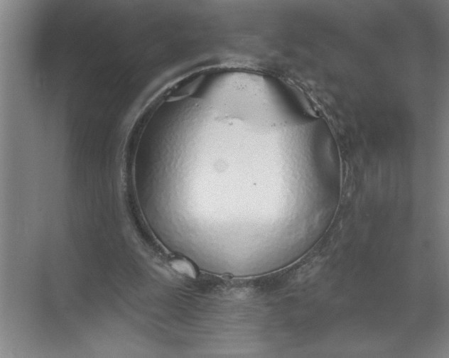 X0000072510247200607290140