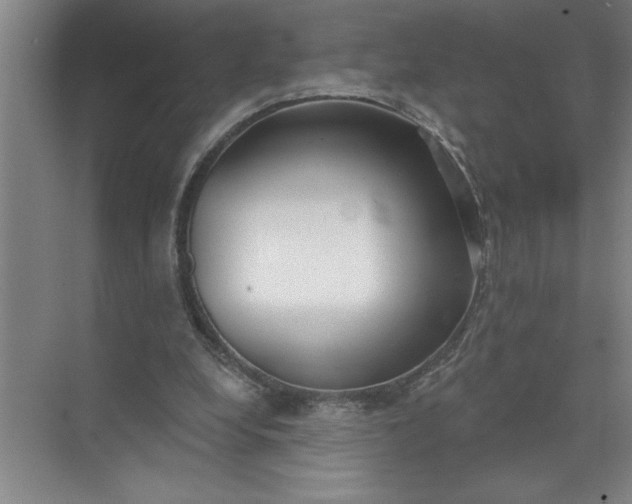 X0000072510248200607290140