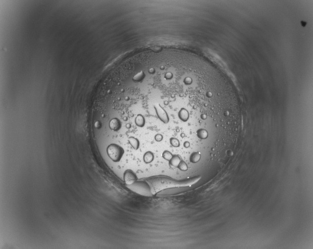 X0000072510249200607290140