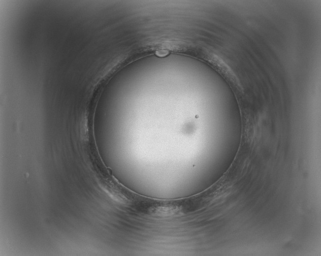 X0000072510251200607290140