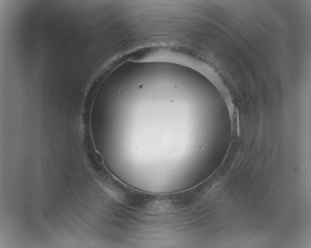 X0000072510252200607290140