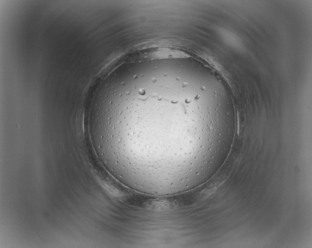 X0000072510253200607290140