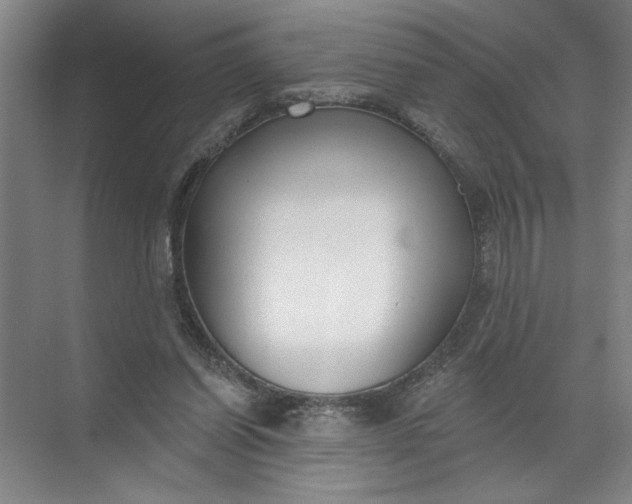 X0000072510254200607290140