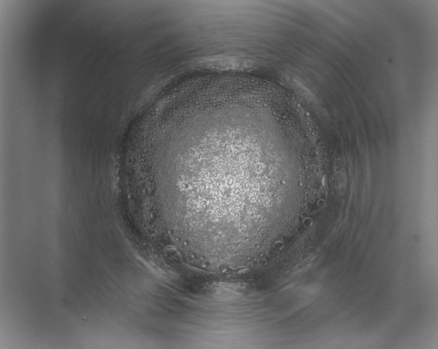 X0000072510255200607290140