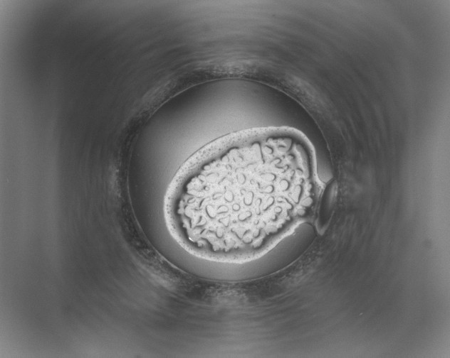 X0000072510258200607290140