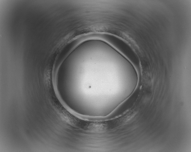 X0000072510260200607290140