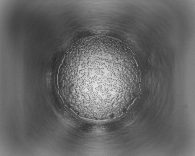 X0000072510263200607290140