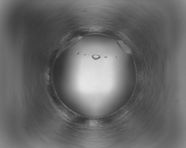 X0000072510264200607290140