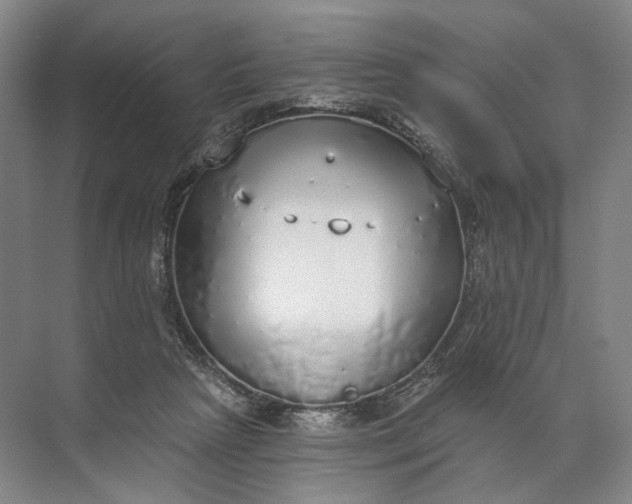 X0000072510265200607290140