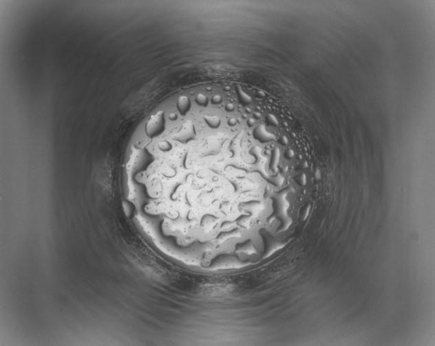 X0000072510266200607290140