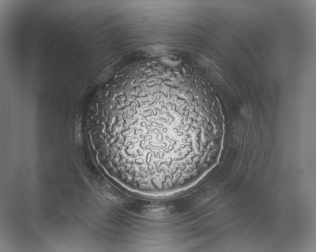 X0000072510267200607290140