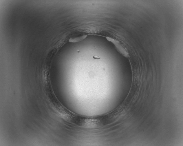 X0000072510268200607290140