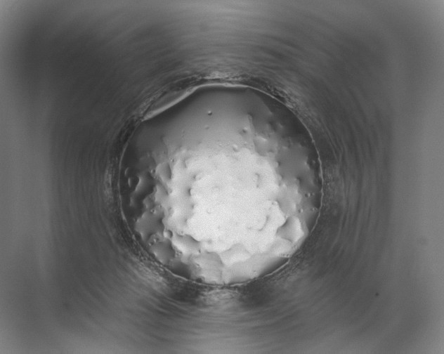 X0000072510269200607290140