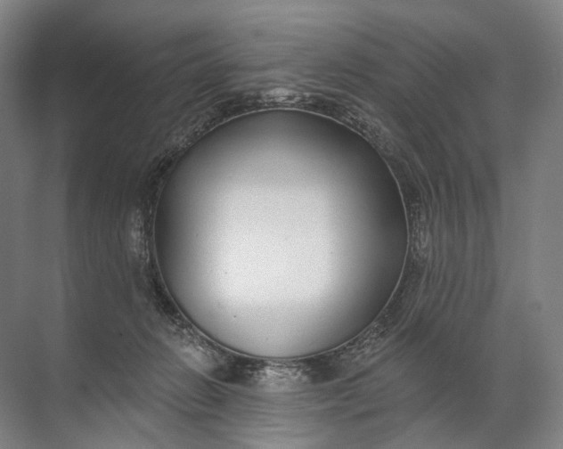 X0000072510270200607290140