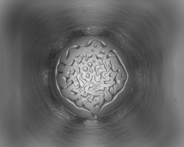 X0000072510271200607290140