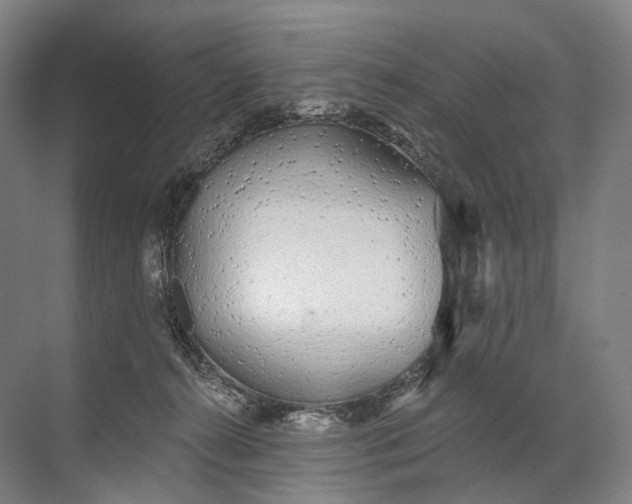 X0000072510272200607290140