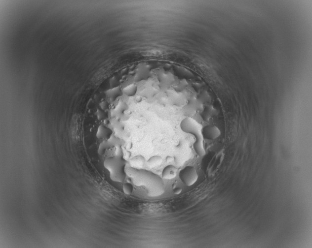 X0000072510273200607290140