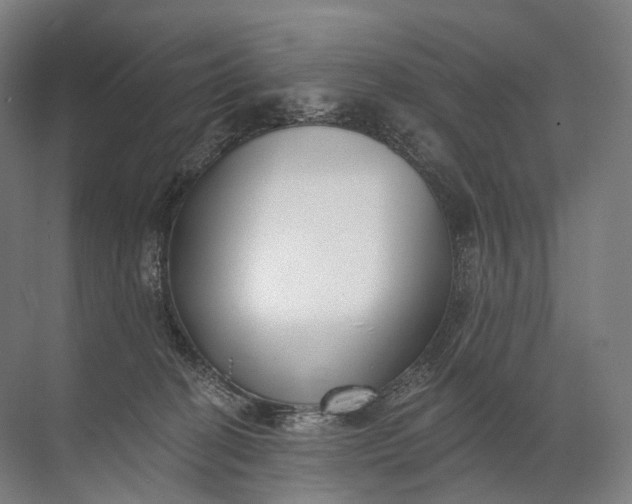 X0000072510274200607290140