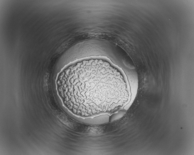 X0000072510275200607290140