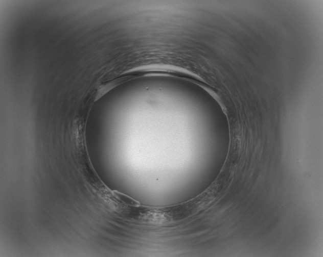 X0000072510276200607290140