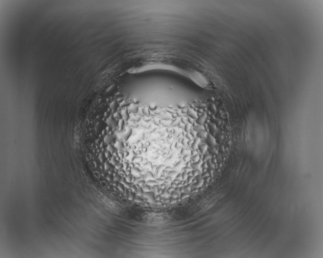 X0000072510277200607290140