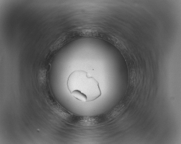 X0000072510278200607290140