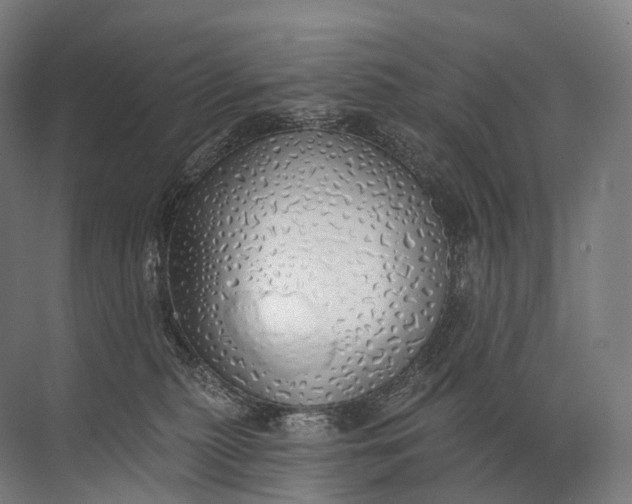 X0000072510279200607290140