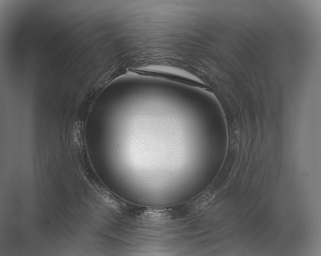 X0000072510280200607290140