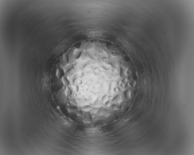 X0000072510281200607290140