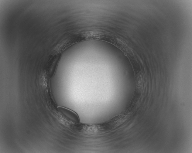 X0000072510282200607290140