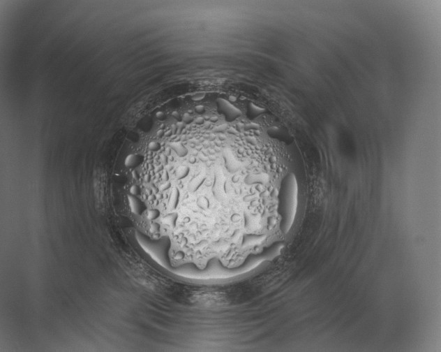 X0000072510283200607290140