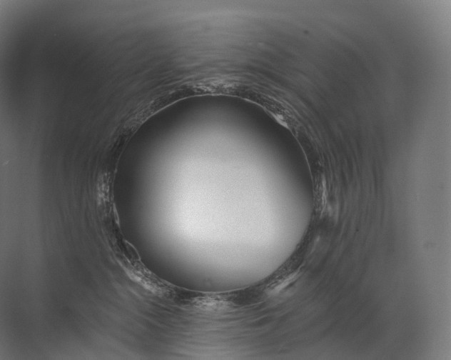 X0000072510284200607290140