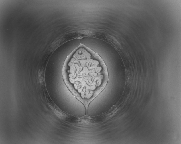 X0000072510285200607290140