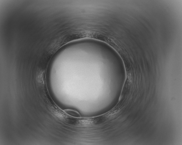 X0000072510286200607290140