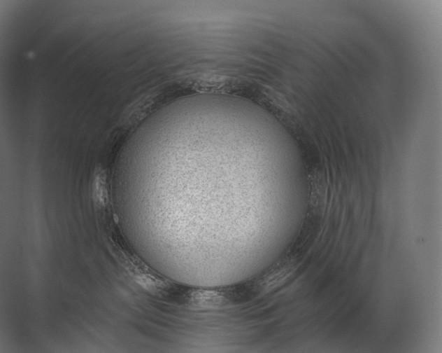 X0000072510287200607290140