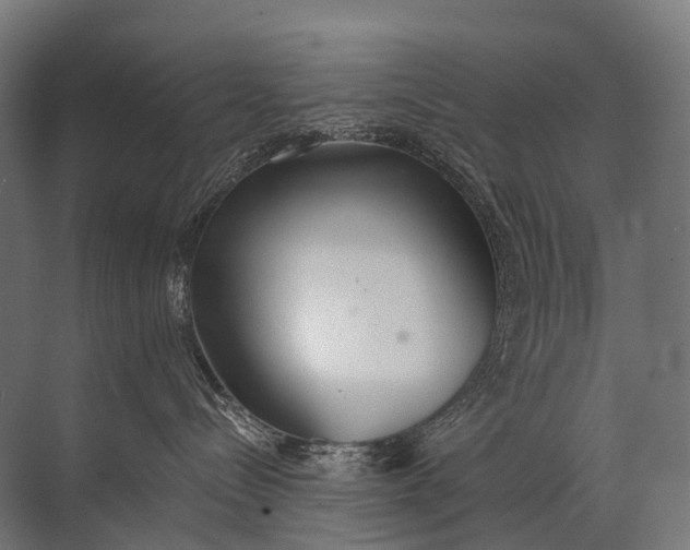 X0000072510288200607290140