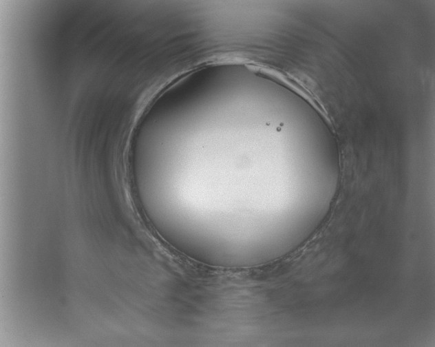 X0000072510289200607290139