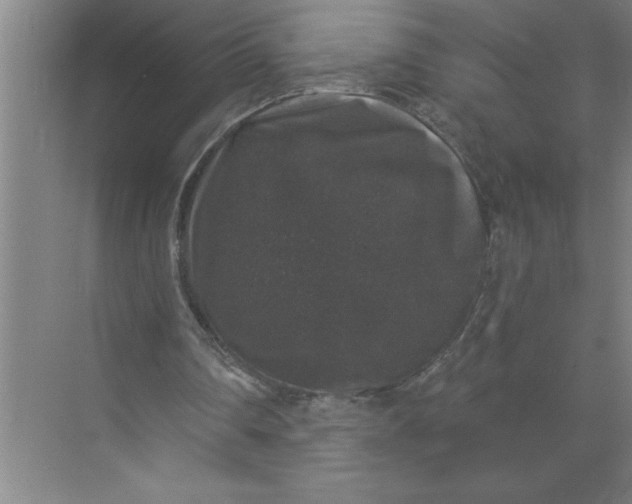 X0000072510290200607290139