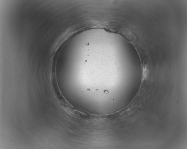 X0000072510291200607290139